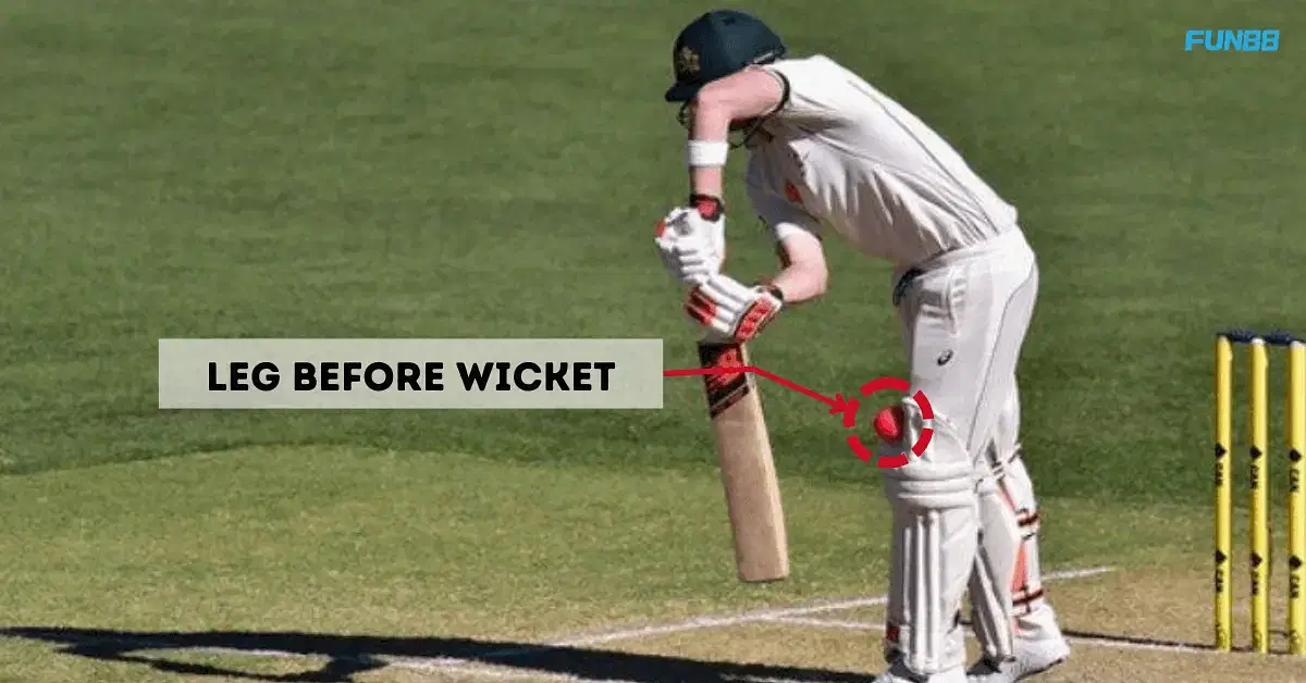 LBW Rules: Leg Before Wicket In Cricket Explained in Details