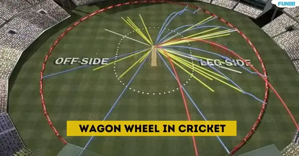 wagon wheel in cricket